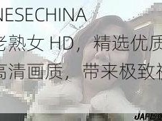 CCHINESECHINA 中国老熟女 HD，精选优质影片，高清画质，带来极致视觉享受