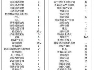 《Cataclysm-DDA存档物品代码详解：探索游戏物品的新纪元》