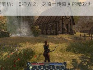 深度解析：《神界 2：龙骑士传奇》的精彩世界与秘密