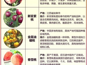 17c 红桃国际为何如此受欢迎？有何秘诀？