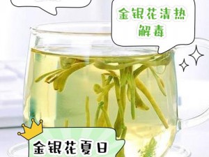 多肉小镇金银花，可食用花卉，泡茶喝清新口气，煲汤做菜味道鲜美