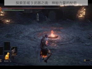 探索圣域 3 武器之魂：神秘力量的秘密