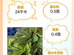 含羞草文化传媒最新版有何功能？如何帮助用户解决痛点？