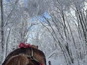 东北大坑原始欲爱_东北大坑原始欲爱：在冰天雪地中释放的本能与激情