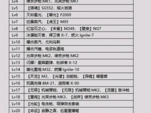 《反恐精英全球攻势汉化菜单翻译：解读游戏背后的文化交融》