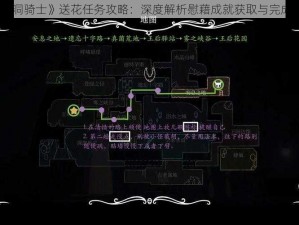 《空洞骑士》送花任务攻略：深度解析慰藉成就获取与完成之道