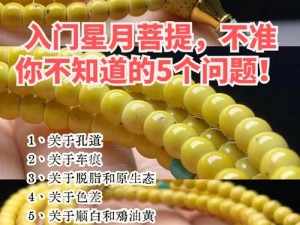 想知道《九龙战》星月怎么玩？快来看看这些小技巧