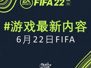 FIFA 12欧洲杯卡顿解决方案：优化网络与系统设置提升游戏体验