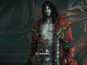 《恶魔城暗影之王 2 Lshift 键失灵怎么办？实用解决方法分享》