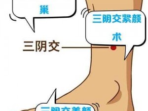 性服务一阴吞三阳是什么意思;性服务一阴吞三阳是什么意思？