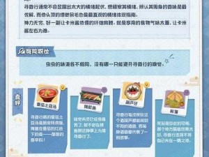 《阴阳师攻略：探寻达摩的奥秘，了解其种类和用途》