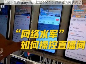 中国小鲜肉 gary 西北军军 2022 为何能成为网络焦点？