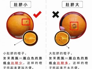 橙子 377 关怎么过？文字+视频教你一招搞定