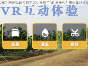 橙子 VR 怎么样？玩游戏看视频不再头晕橙子 VR 是什么？带你体验虚拟现实的魅力