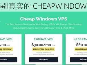 如何辨别真实的 CHEAPWINDOWS VPS？