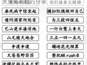 汉字找茬王第十八关攻略详解：通关策略与技巧分享