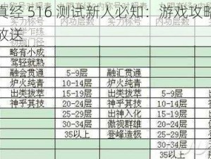 九阴真经 516 测试新人必知：游戏攻略与秘籍大放送