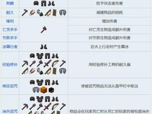 全面解析我的世界：最新附魔列表概览