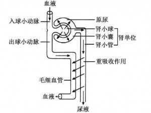 WRITE AS 尿液_WRITE AS 尿液：当尿液成为一种创作方式