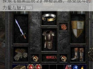 探索《暗黑血统 2》神秘武器，感受战斗的力量与魅力