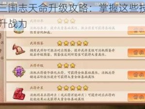 少年三国志天命升级攻略：掌握这些技巧快速提升战力