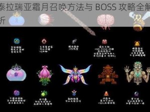 泰拉瑞亚霜月召唤方法与 BOSS 攻略全解析