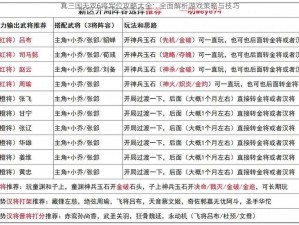 真三国无双6将军位攻略大全：全面解析游戏策略与技巧