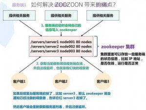 如何解决 ZOOZOON 带来的痛点？