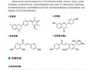 关于珊瑚岛树脂采集器所需时日的研究报告