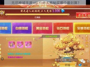 无尽神域手游 vip 价格大揭秘买哪个最划算？