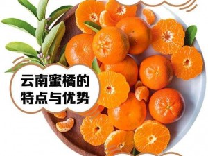 蜜橘 APP 有什么用？为何大家都在推荐？