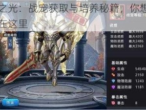 黎明之光：战宠获取与培养秘籍，你想知道的都在这里