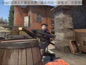 csgo 高清大片蘑菇免费，精彩内容一键播放，无需等待