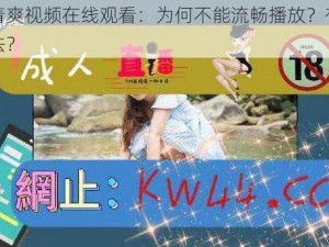 青青青爽视频在线观看：为何不能流畅播放？有何解决办法？