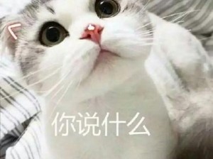 什么？你说什么？