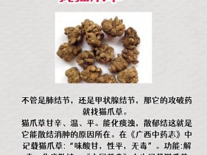 往下面放什么像舌头的东西、有什么东西可以往下面放，看起来像舌头？