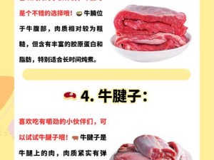 小森生活牛肉牛奶配方食材全面解析：营养美味一览无余