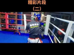 龙斗士猜拳擂台技巧大揭秘：掌握这些技巧，让你轻松称霸擂台