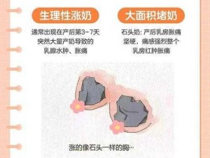 哺乳期妈妈必备轻松解决两个奶被揉得又硬又翘的困扰