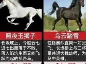 揭秘：三国如龙传中刘备坐骑的卢的神秘身世