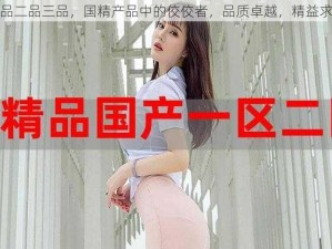 一品二品三品，国精产品中的佼佼者，品质卓越，精益求精