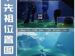 《光遇》小王子季地理学家先祖位置攻略：详细解读地图坐标，带你轻松找到先祖踪迹