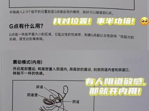 自由交响玩法详解：从入门到精通的图文指南