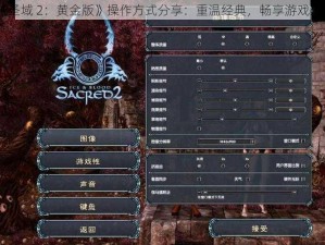 《圣域 2：黄金版》操作方式分享：重温经典，畅享游戏乐趣