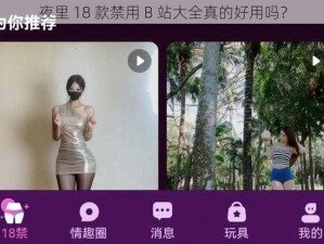 夜里 18 款禁用 B 站大全真的好用吗？