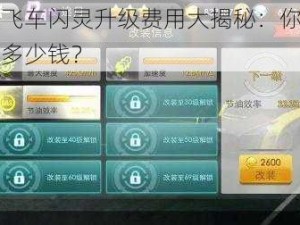 天天飞车闪灵升级费用大揭秘：你需要准备多少钱？