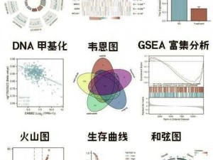 缺氧火山区的元素生物与独特植物生态研究