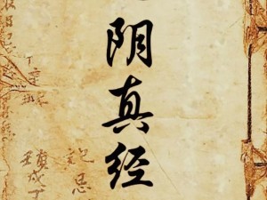 《九阴真经》新篇章：三大门派争锋，新门派悬念揭晓，谁将问世江湖