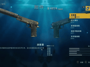 孤岛惊魂3 PC版武器系统深度解析：登陆武器获取与运用教程