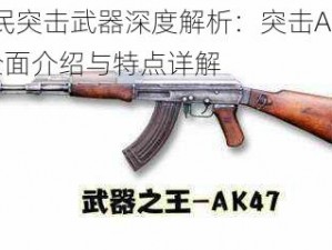 全民突击武器深度解析：突击AK-47全面介绍与特点详解